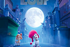 100% loup
