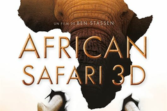 African Safari 3D
