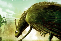 A la poursuite du Roi Plumes
