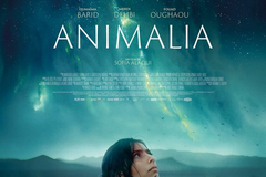 Animalia
