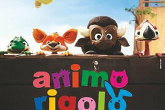 Animo Rigolo
