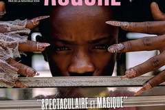 Augure
