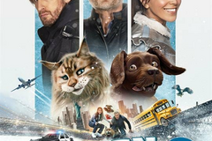 Chien et Chat
