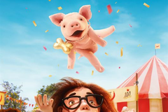 Chonchon, le plus mignon des cochons
