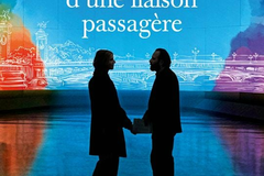 Chronique d'une liaison passagère
