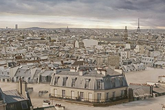Dans la brume

