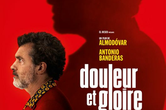 Douleur et gloire
