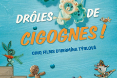 Drôles De Cigognes !