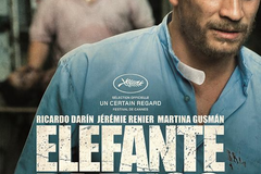 Elefante Blanco
