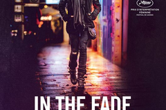 In the Fade
