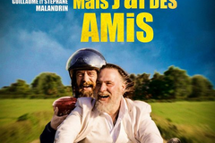 Je suis mort mais j'ai des amis
