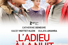 L'Adieu à la nuit
