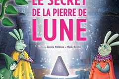 Le Secret de la pierre de lune
