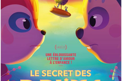 Le Secret des Perlims
