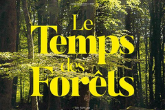 Le Temps des forêts
