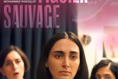 Les Graines Du Figuier Sauvage Vo
