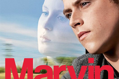 Marvin ou la belle éducation
