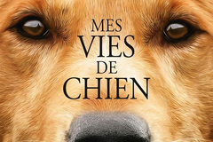 Mes vies de chien
