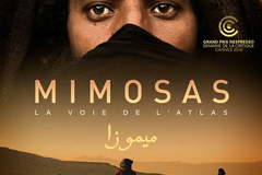 Mimosas, la voie de l’Atlas
