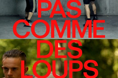 Pas comme des loups
