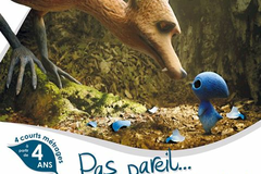Pas pareil... et pourtant !
