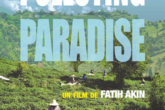 Polluting Paradise
