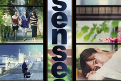 Senses 5
