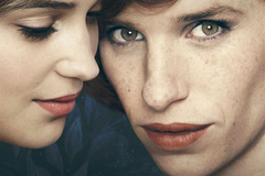 The Danish Girl
