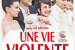 Une Vie Violente
