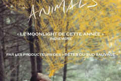 We The Animals
