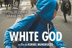 White God
