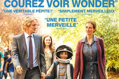 Wonder
