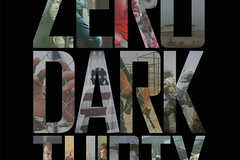 Zero Dark Thirty
