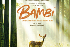 bambi
