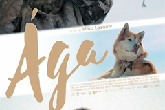 Ága
