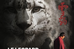 le léopard des neiges
