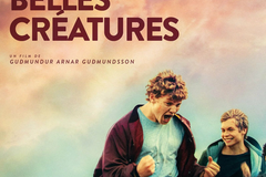 les belles créatures
