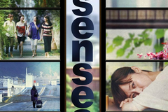 senses
